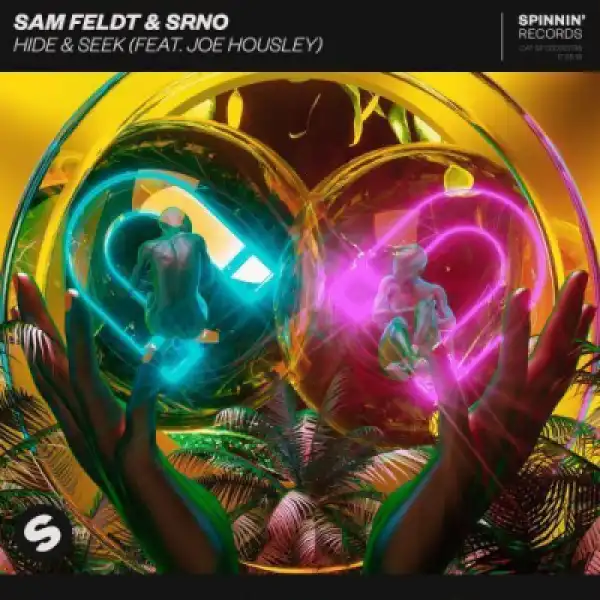 Sam Feldt X SRNO - Hide & Seek Ft. Joe Housley